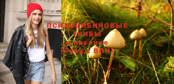 спиды Алексеевка