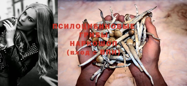 соль ск Абдулино