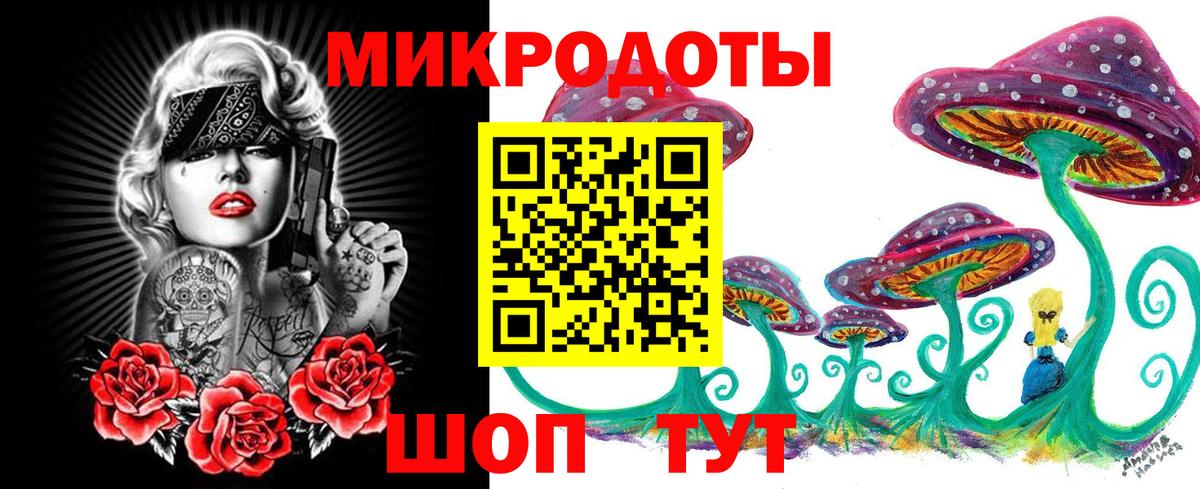Элиста  Псилоцибиновые грибы GOLDEN TEACHER  Галлюциногенные грибы мухоморы  Вход с VPN 